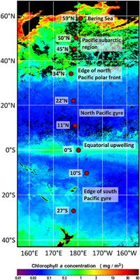 The Biogeographical Distribution of Benthic Roseobacter Group Members along a Pacific Transect Is Structured by Nutrient Availability within the Sediments and Primary Production in Different Oceanic Provinces